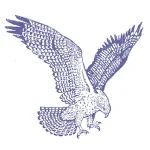 Allegheny-Clarion Valley School District Logo