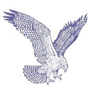 Allegheny-Clarion Valley School District logo