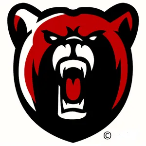 Boyertown Area School District Logo