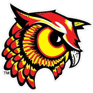 Bradford Area School District Logo