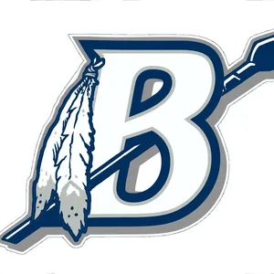 Brookville Area School District Logo