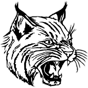 Halifax Area School District Logo